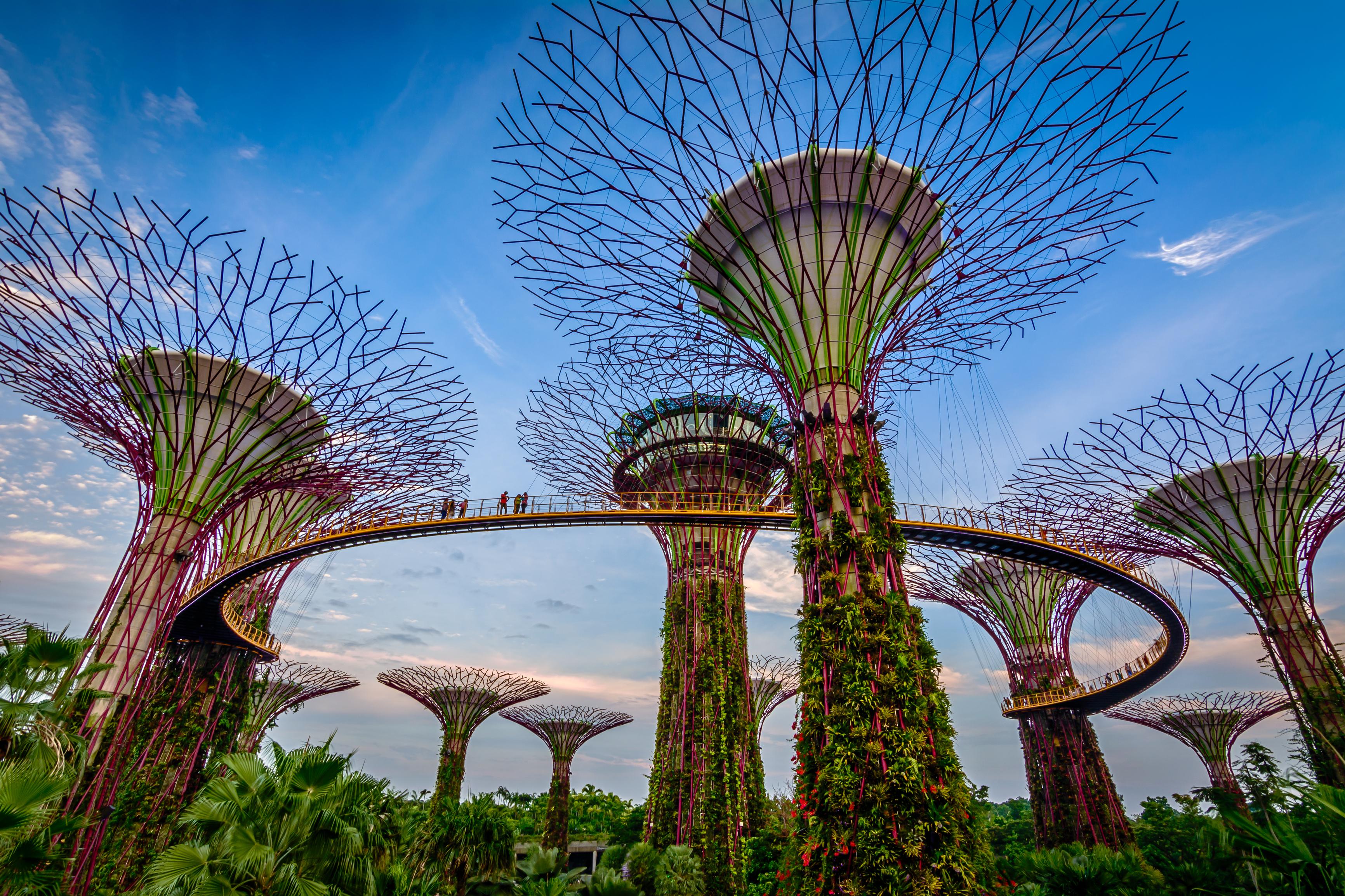 Green walls on Singapore skytrees