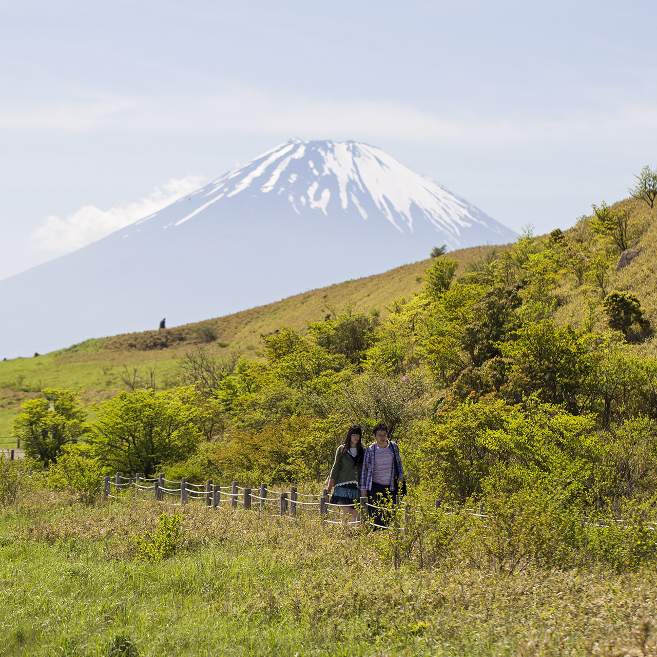 People walking through field with Mount Fuji in the background