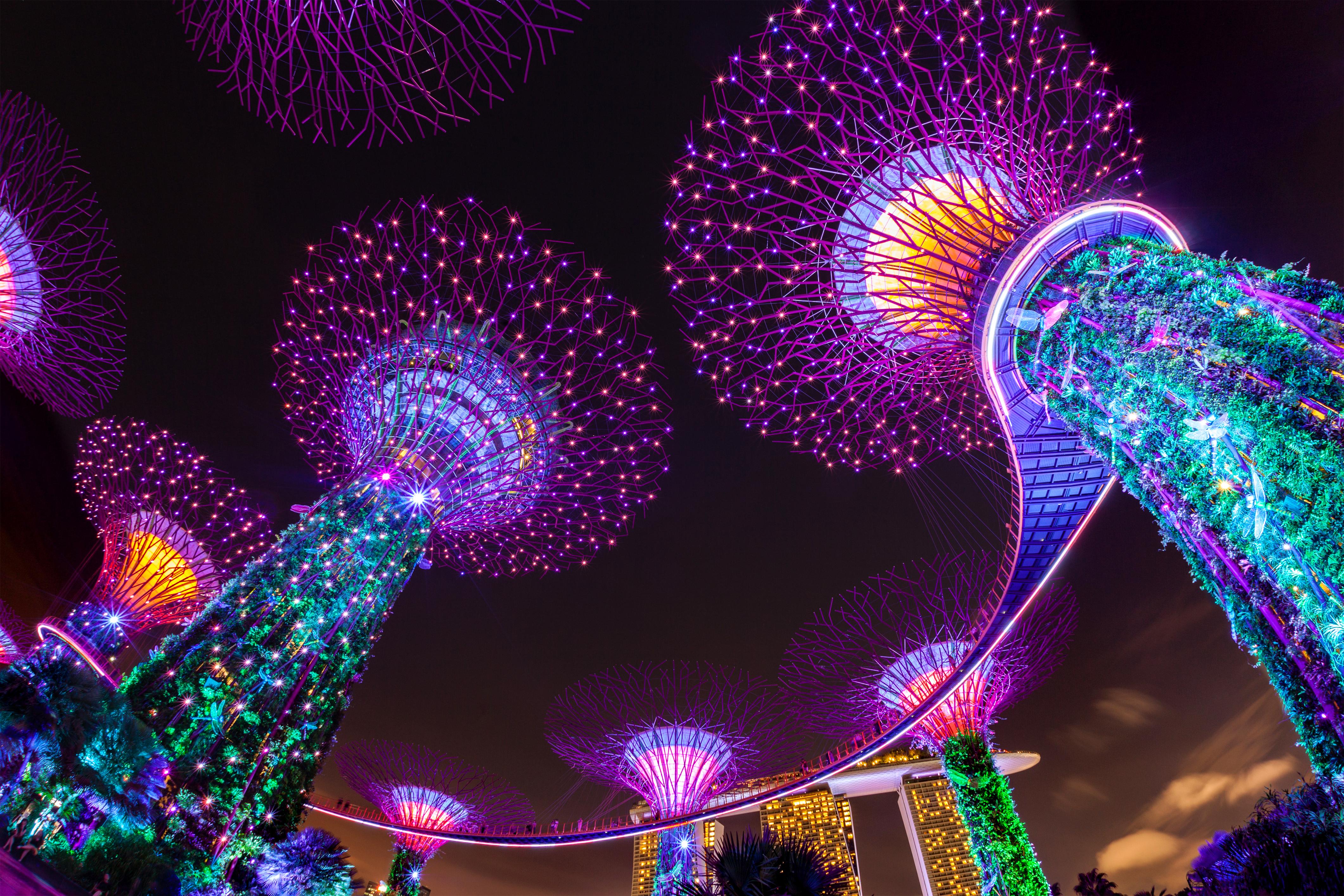 SFE HERO_Light-show-gardens-by-the-bay.jpg Singapore supertrees illuminated at night