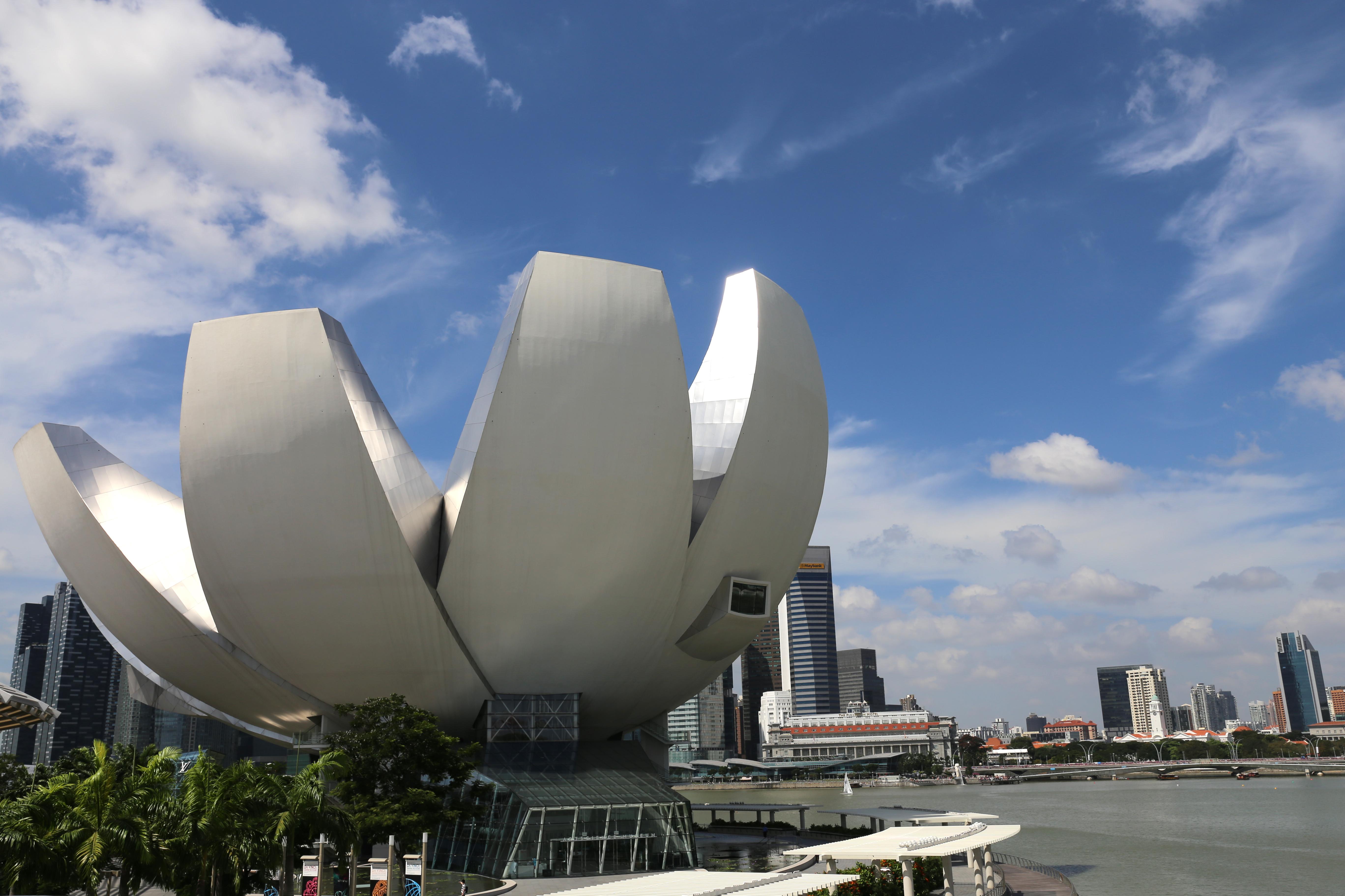 Singapore-Art-Science-Museum.jpg Lotus shaped building on Singapore's waterfront