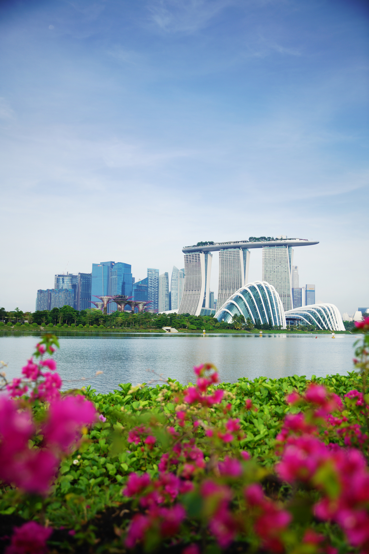 iStock-952371852_ImpaKPro.jpg View of Marina Bay Sands Hotel across the bay with pink flowers in foreground