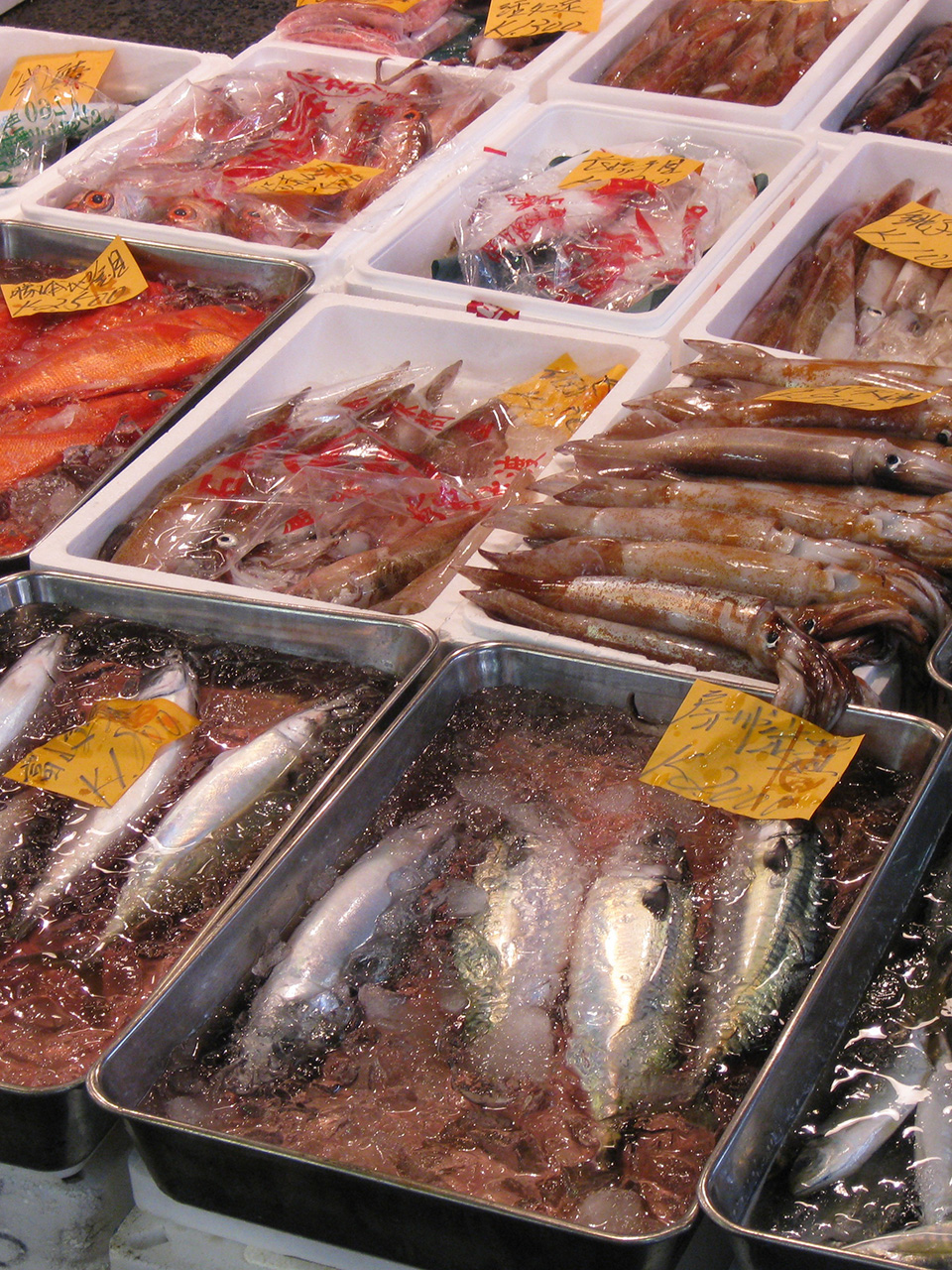 tsukiji-market-portrait.jpg Fish on display at fish market in Tokyo