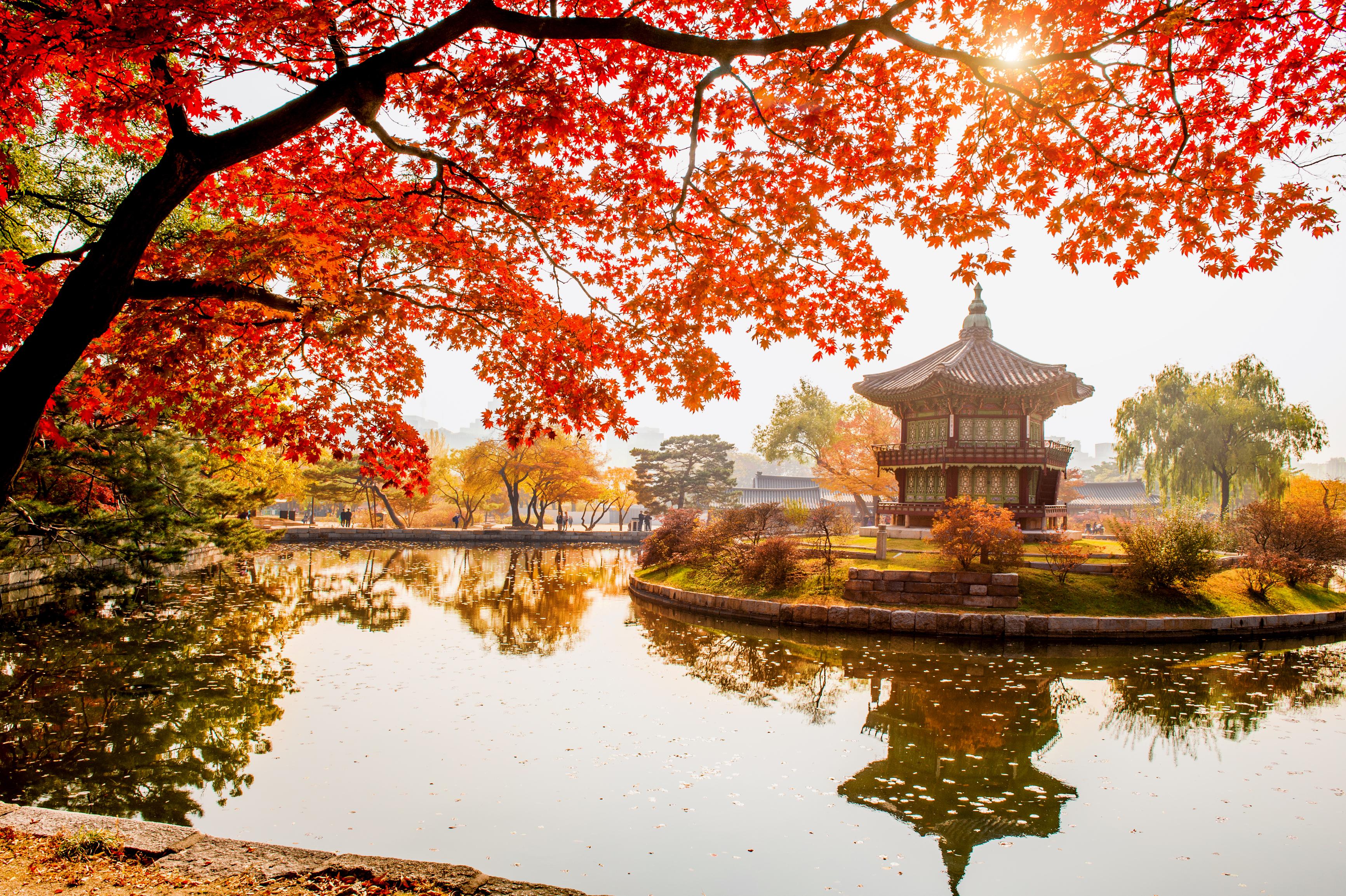 Autumn-in-Seoul.jpg Autumn leaves at Gyeongbokgung Palace in Seoul