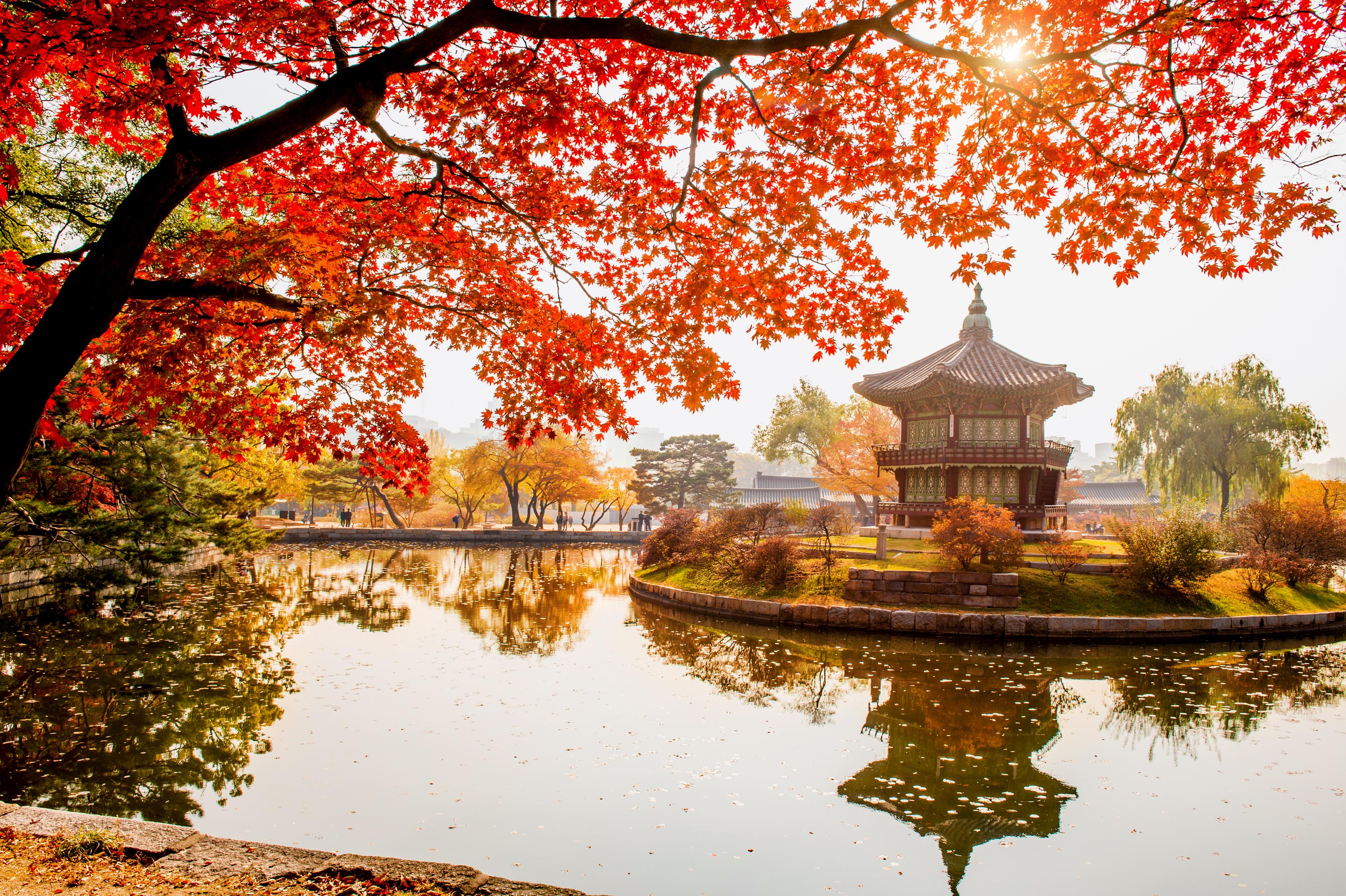 Autumn leaves at Gyeongbokgung Palace in Seoul