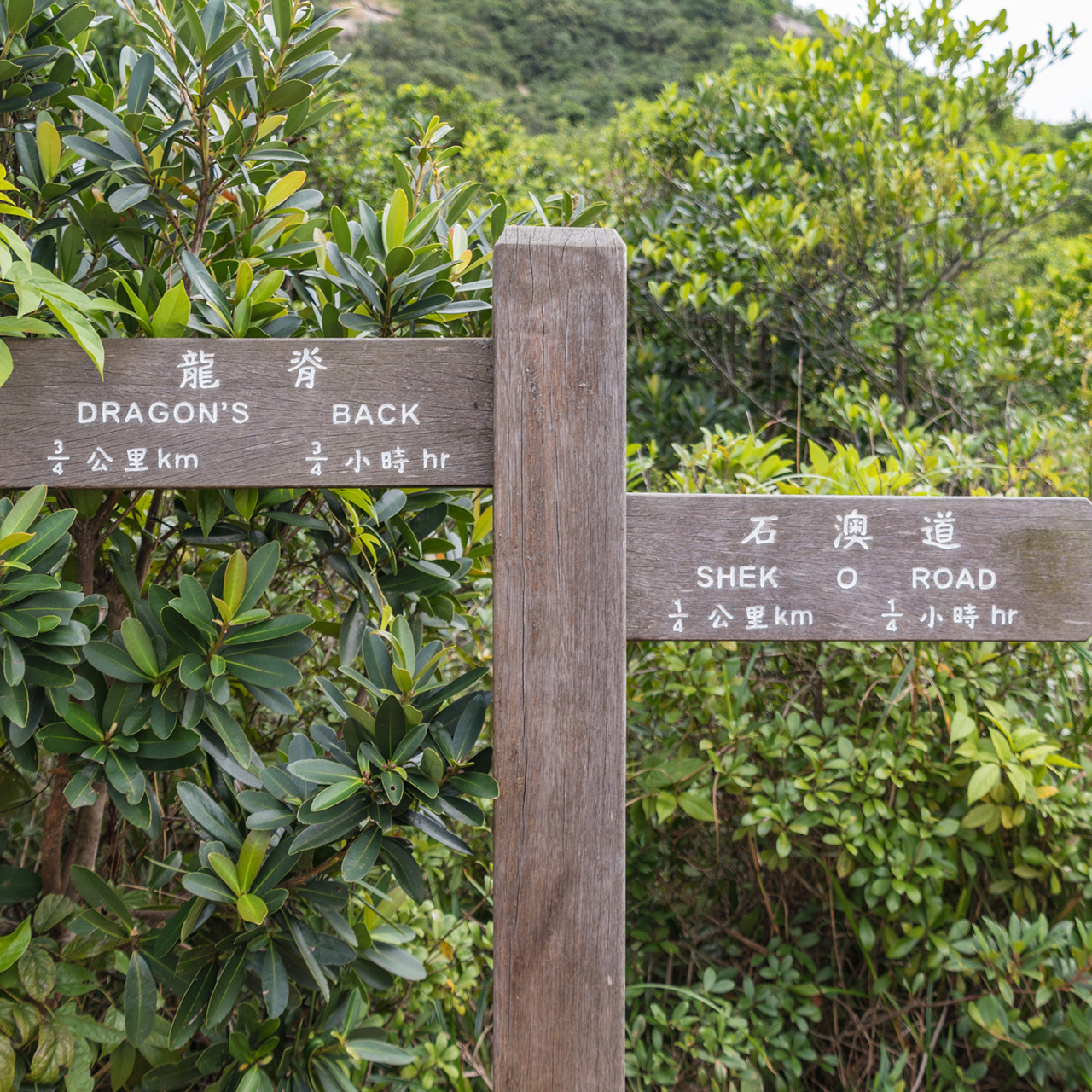 Dragon's Back Hiking Trail sign post_iStock-874023200_Thomas Faull square. jpg.jpg Dragon's Back Hiking Trail sign