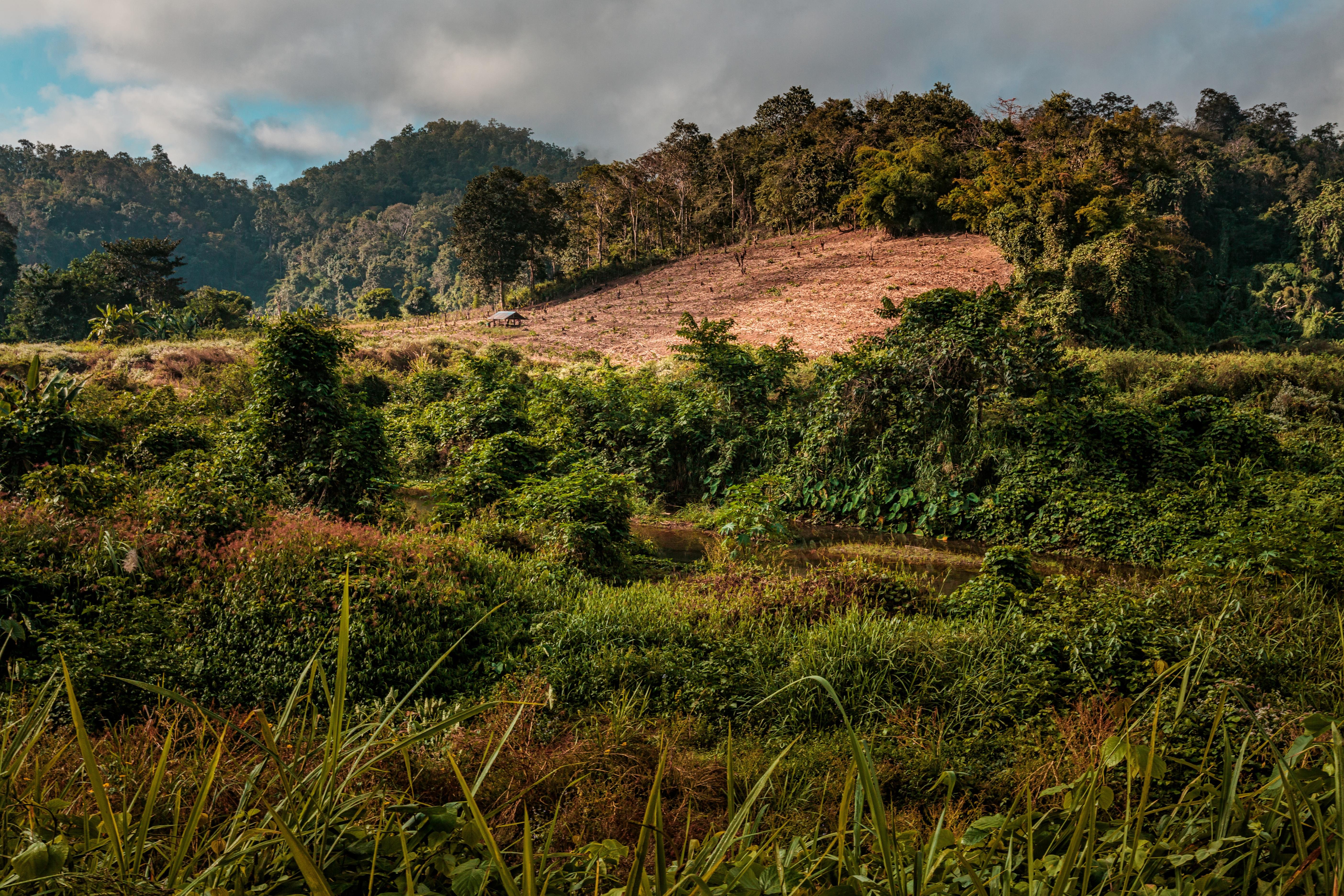 Northern-Thailand-landscape.jpg Northern Thailand countryside with trees and huts