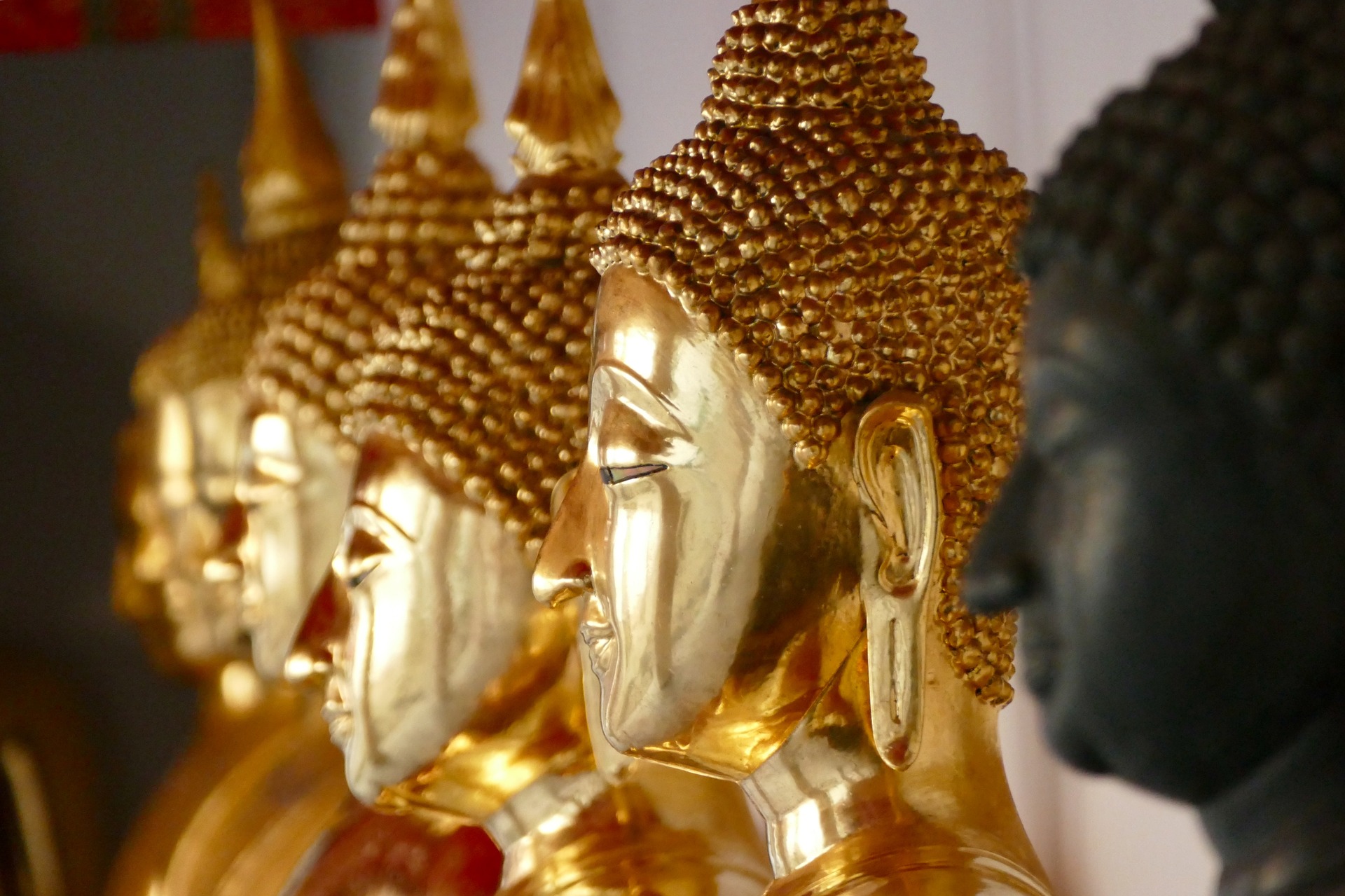 Golden Buddha Bangkok.jpg Golden Buddha heads in Bangkok