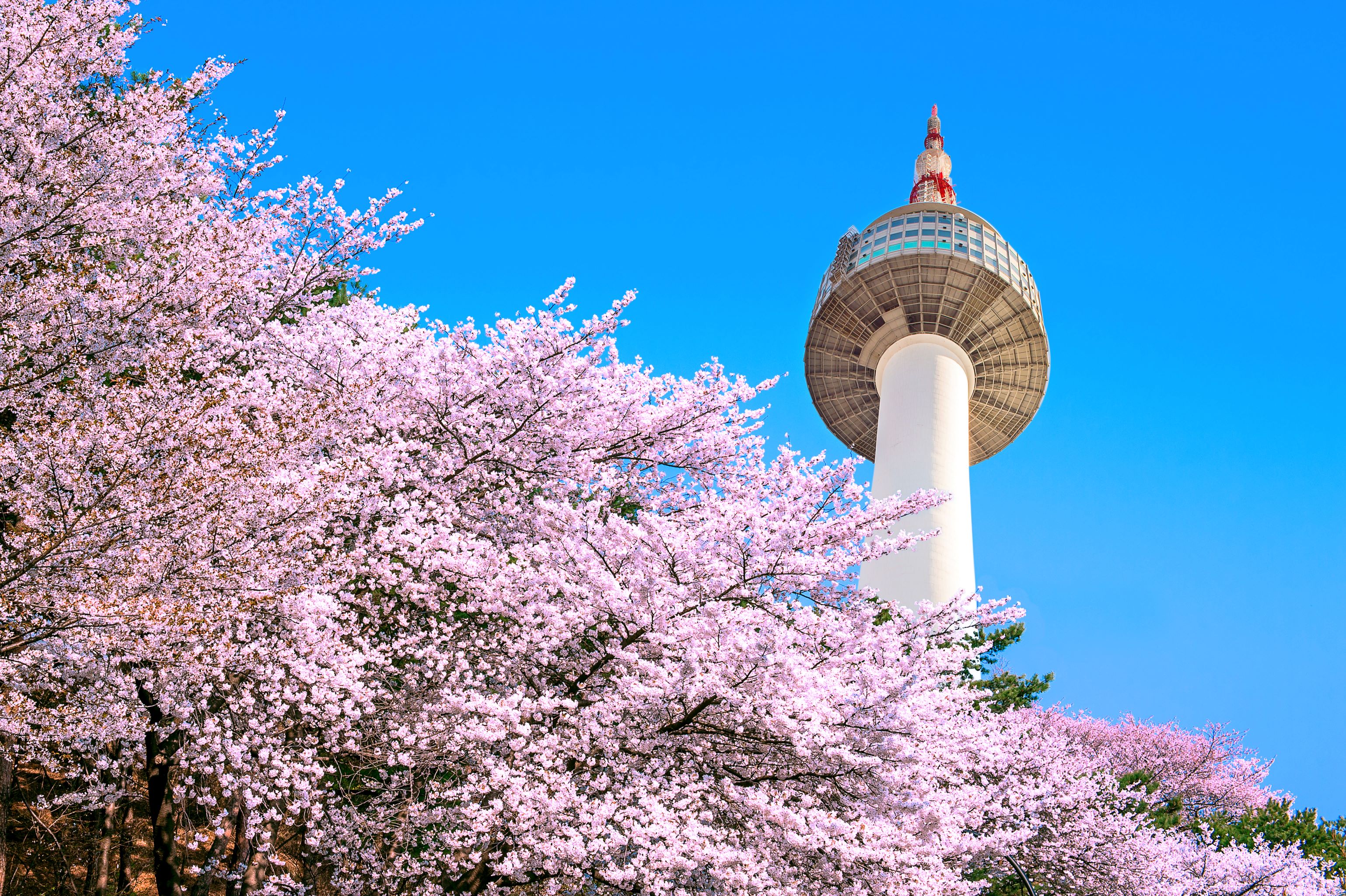 Travel around South Korea 2025/2025 AU InsideAsia Tours