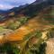 Terraced rice landscape of northern Vietnam