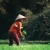 Rice farming in Hoi An