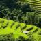 Rice paddies in Ha Giang