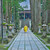 Monk in yellow clothes walking along pathway in Koya
