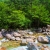 Fast flowing stream and lush green trees in Seoraksan National Park 