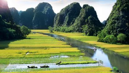 Rice paddies and mountains of Ninh Binh