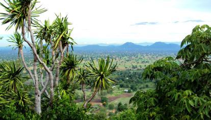 View in Mondulkiri