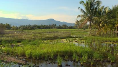 Kampot landscape