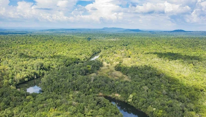 Aerial view of Botum Sakor Cardamom Tented Camp 