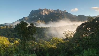 View of Mt Kinabalu from Kinabalu Park