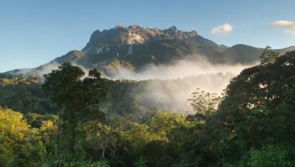 View of Mt Kinabalu from Kinabalu Park