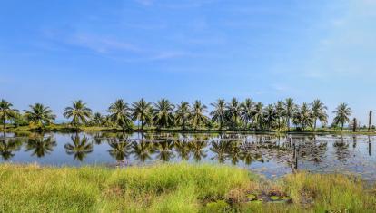 Koh Kong