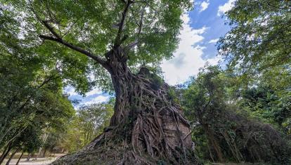 Sambor Prei Kuk in Kampong Thom