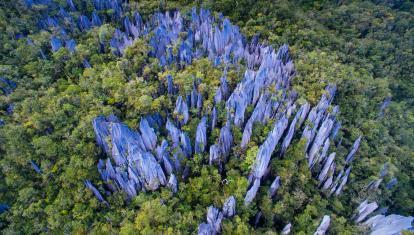Jagged rock pinnacles shoot out of the jungle at Mulu National Park in Borneo