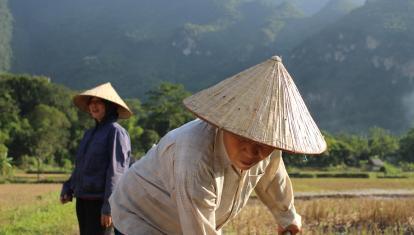 Traditional farming in Mai Chau