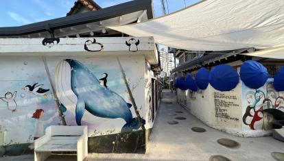 Cute alleyway in Gwangju with plenty of penguin-based street art in South Korea