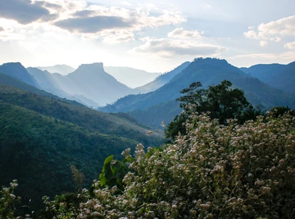 View over Nam Et Phou Louey - Dominique Le Roux