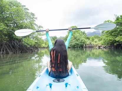 Kayaking in the mangroves