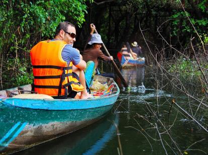 Two couples kayaking through mangrove
