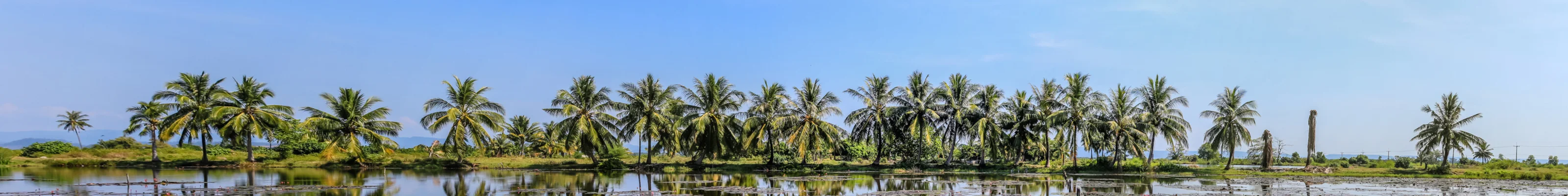 Koh Kong