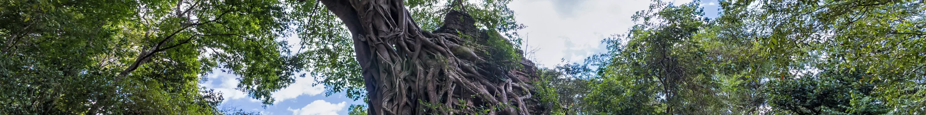 Sambor Prei Kuk in Kampong Thom