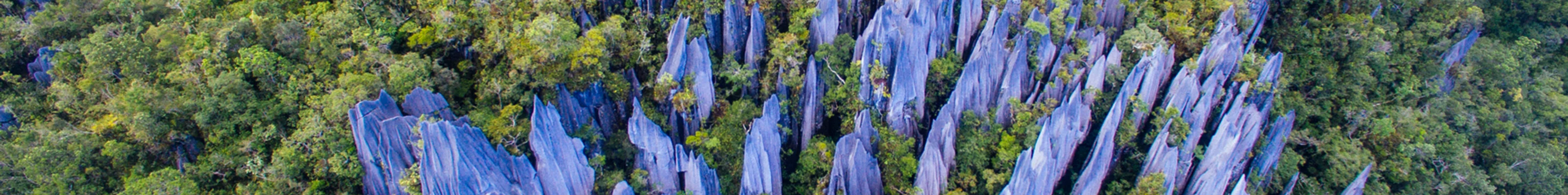 Jagged rock pinnacles shoot out of the jungle at Mulu National Park in Borneo