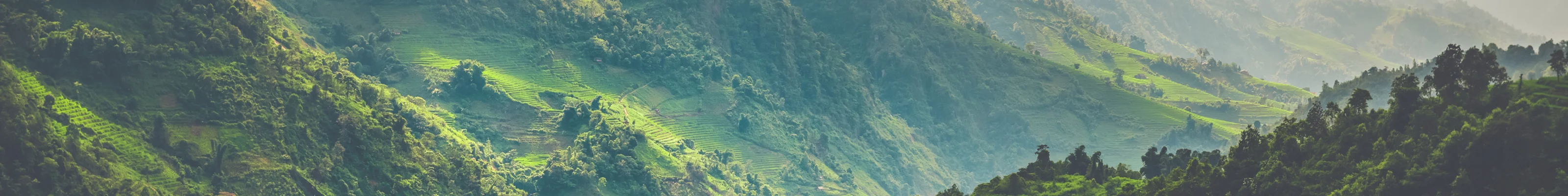 Sapa