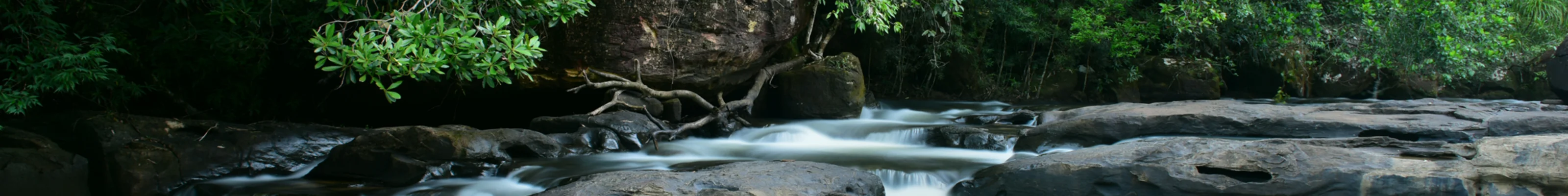 Water at Shinta Mani Wild