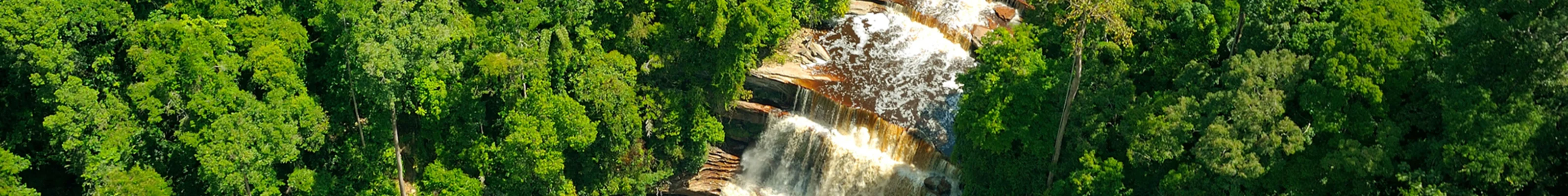 Aerial shot of waterfall and small brown lake surrounded by jungle in the Maliau Basin