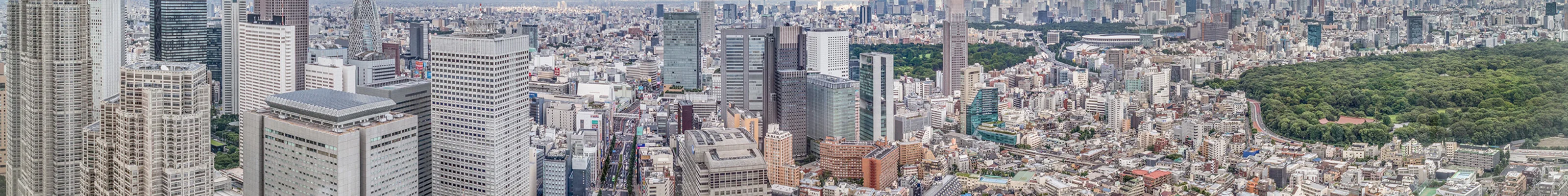 Panoramic view of Tokyo seen from Park Hyatt hotel 