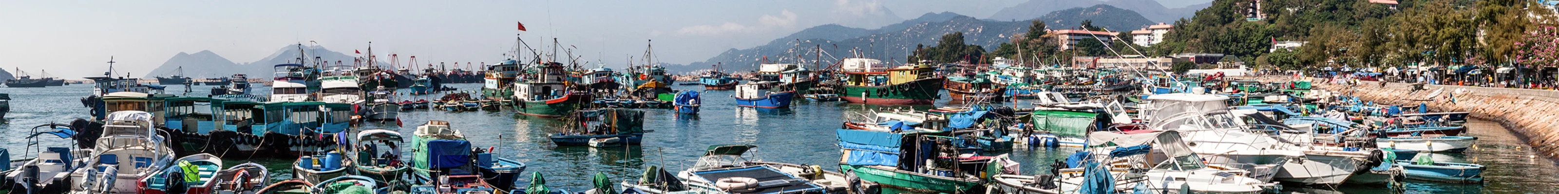 Boats in Cheung Chau harbour 