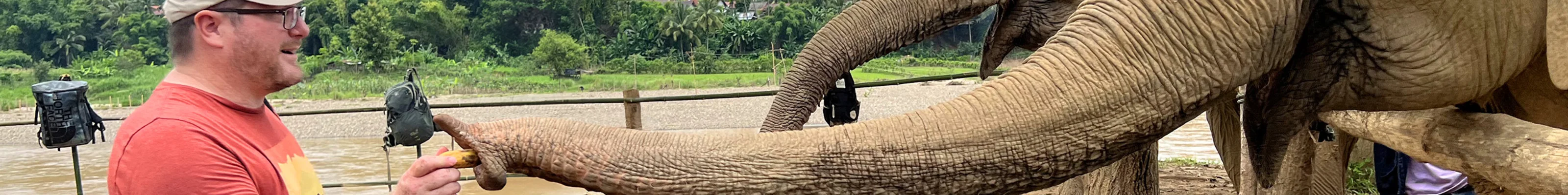 Tourist feeds elephant at a prudent distance in Laos
