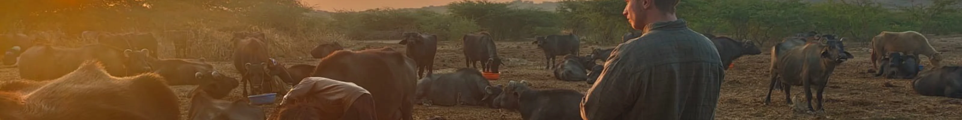Bhuj