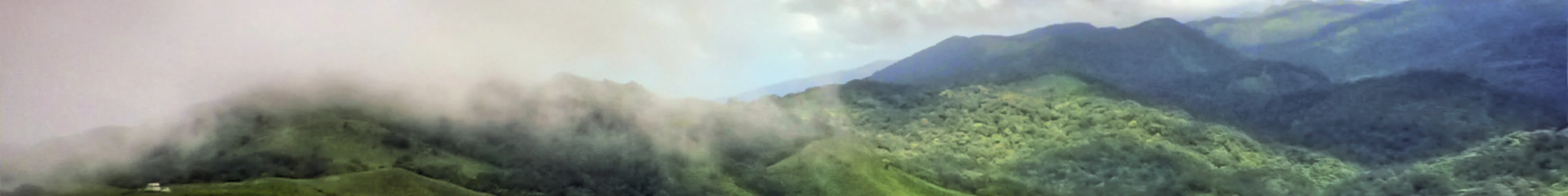 Hilltops in Coorg