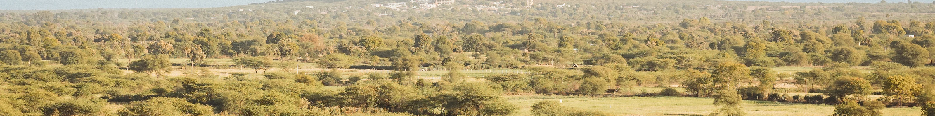 Dhikhola Fort in Shahpura