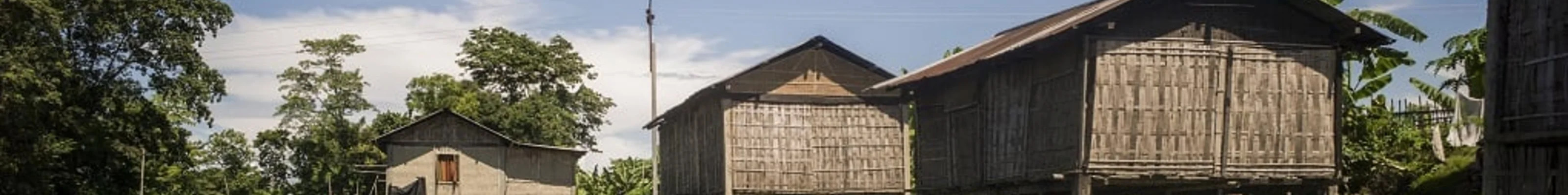 Stilt houses Majuli Island