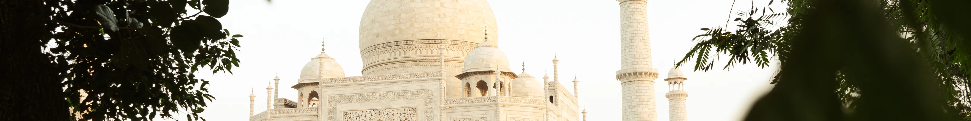 Taj Mahal through trees