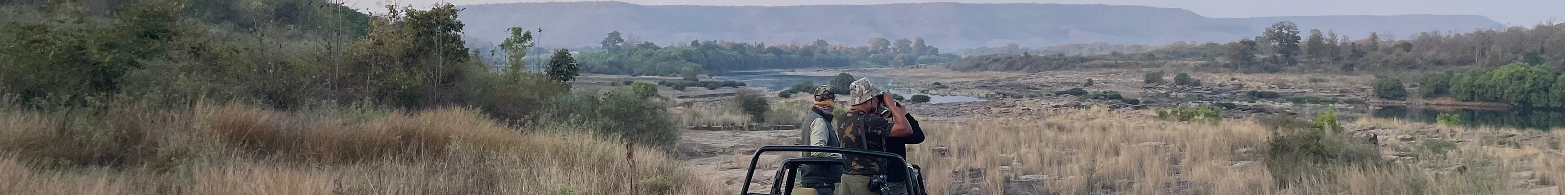 Panna safari