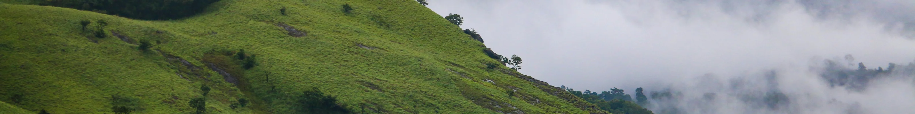 Wayanad