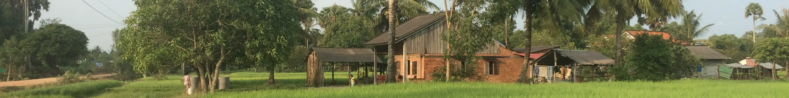 A farmstay in Kampot amongst luscious green grass in the countryside of Cambodia