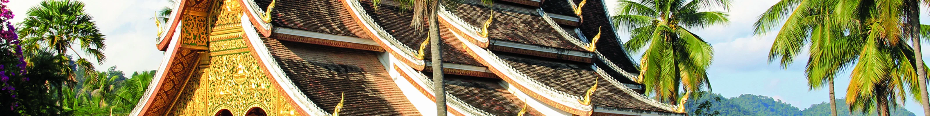 White temple with sloped roof and gold walls in Luang Prabang surrounded by palm trees at a quiet hour