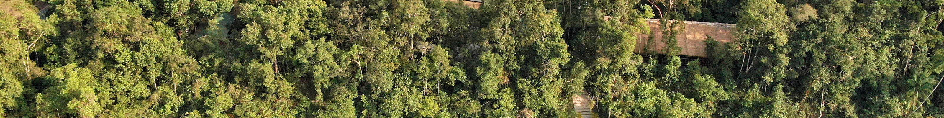 Botum Sakor National Park Cardamom Tented Camp in Borneo